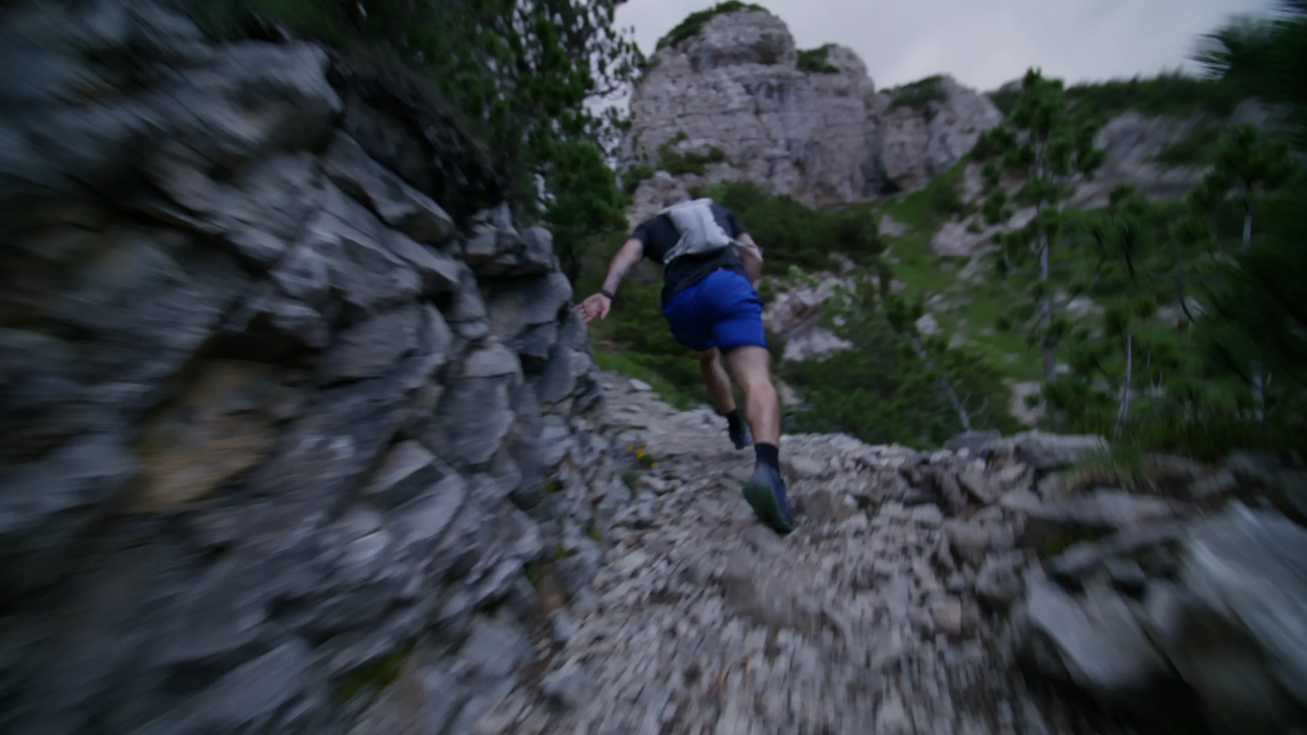 Limbic Friction: The Neuroscience of Willpower and Mental Strength